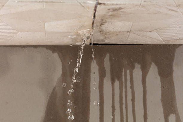 Professional Structural Drying technician working in Hill, NH